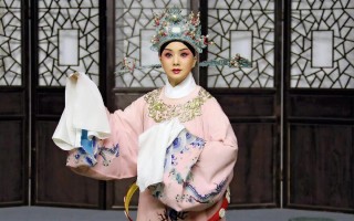 扬剧李开敏唱腔集锦，扬剧李开敏唱腔集锦波洋调一池清水