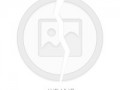 描写春天的句子摘抄，描写春天的句子摘抄20字