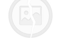 描写春天的句子摘抄，描写春天的句子摘抄20字
