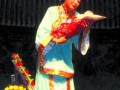 河南地方戏曲小品大全，河南地方戏曲大全视频
