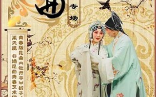 越剧十大经典唱段，越剧十大经典唱段红楼梦