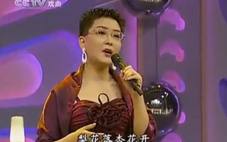 京剧王佩瑜个人资料，京剧王佩瑜个人资料简介